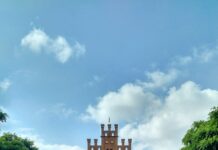 대학캠퍼스 도로 교통안전 관리 책임, 학교장이 진다 brown concrete building near green trees under white clouds during daytime