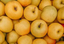 가을철 건강 지키기: 운동과 다이어트의 완벽한 조화 a pile of potatoes