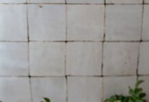 식이섬유의 중요성: 건강한 장을 위한 음식 리스트 white and pink floral ceramic teacup with saucer