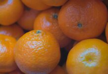 다이어트에 성공하기 위한 겨울철 습관 a pile of oranges sitting next to each other